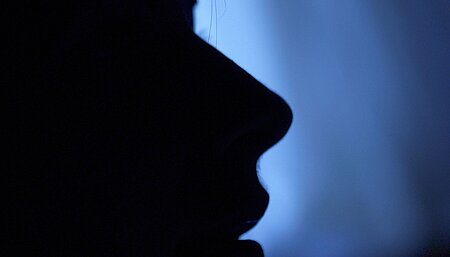 Pressefreiheit als Kollateralschaden
