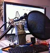 Das Bild zeigt ein Mikrofon mit Popfilter vor einem Computerbildschirm. Es handelt sich um Material zur Durchführung eines Webinars.