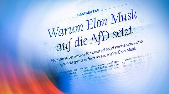 Musk in der Welt