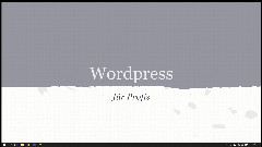Wordpress für Profis